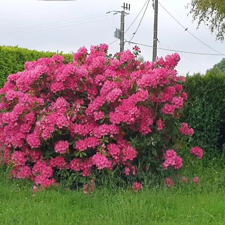 La Drorie Crouay